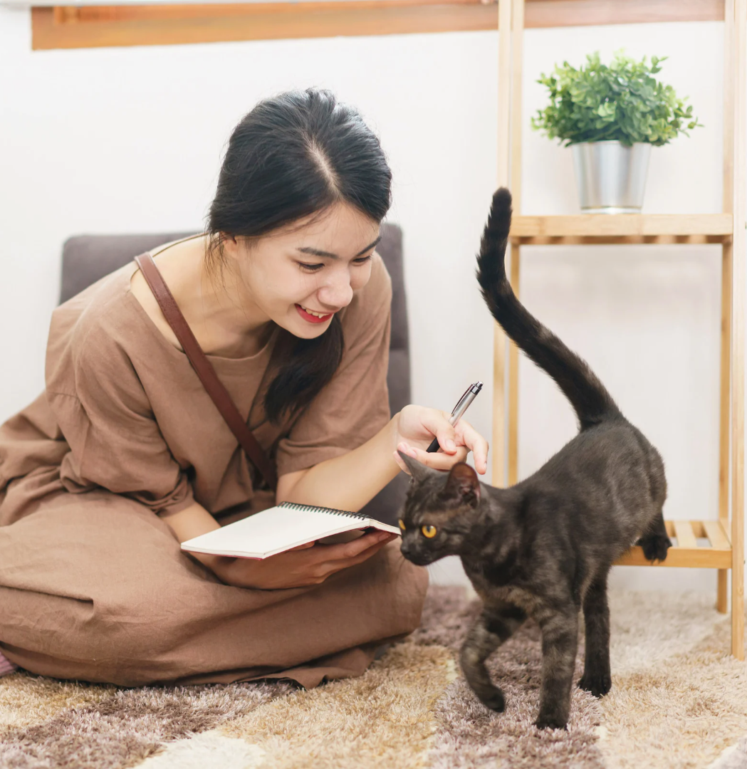 寵物飼料, 狗狗主食罐, 貓咪主食罐, 主食罐推薦, 副食罐推薦, 無穀飼料, 有機寵物糧, 冷凍乾燥糧, 高肉量配方乾糧, 寵物罐頭推薦, 天然寵物糧, 寵物營養主食, 幼犬乾糧, 成犬濕糧, 高齡犬飼料, 幼貓乾糧, 老貓濕糧, 全齡貓主食糧, 低敏配方飼料, 腸胃保健飼料, 關節保健乾糧, 美毛護膚飼料, 控制體重飼料, 尿道保健飼料, 泌尿道健康配方, 心臟保健飼料, 牙齒清潔乾糧, 無穀飼料推薦, 寵物高蛋白飼料, 天然成分狗糧, 有機飼料品牌, 無添加飼料, 添加維生素礦物質, 寵物乾糧, 寵物濕糧, 寵物罐頭, 貓罐頭, 貓乾糧推介, 貓乾糧推介2025, 貓濕糧推介, 貓濕糧推介2025, 貓零食推介, 貓零食推介2025, 狗乾糧推介, 狗乾糧推介2025, 狗濕糧推介2025, 狗濕糧推介, 狗零食推介2025, 狗零食推介, 寵物保健, 寵物保健品 貓咪保健, 貓貓保健品 狗狗保健, 狗狗保健品, 狗狗益生菌, 貓貓益生菌, 寵物營養補充, 寵物營養食品, 貓用複合賴氨酸, 寵物毛髮保健, 狗毛髮保健, 貓毛髮保健, 狗關節保健, 貓關節保健, 狗腸胃保健, 貓腸