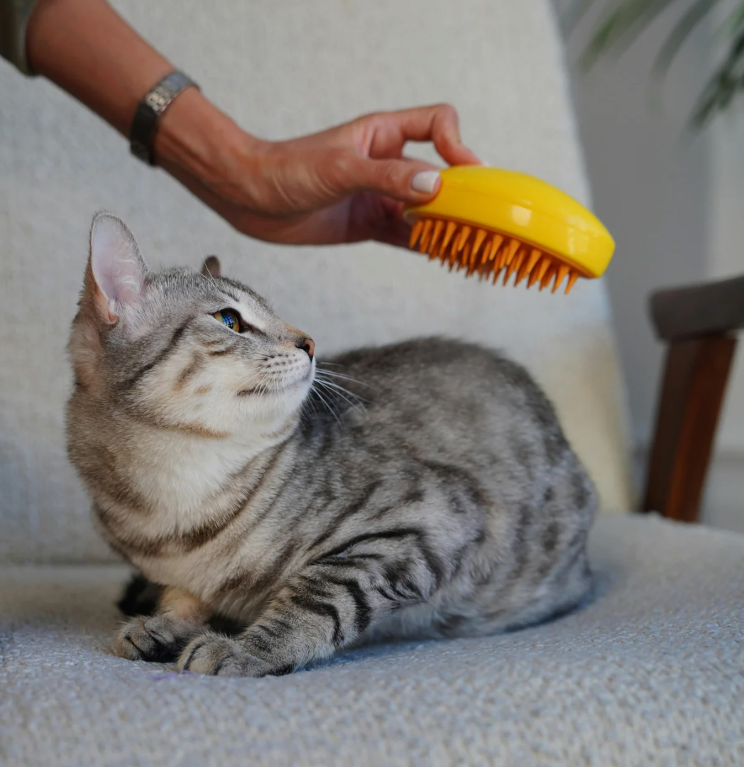 寵物飼料, 狗狗主食罐, 貓咪主食罐, 主食罐推薦, 副食罐推薦, 無穀飼料, 有機寵物糧, 冷凍乾燥糧, 高肉量配方乾糧, 寵物罐頭推薦, 天然寵物糧, 寵物營養主食, 幼犬乾糧, 成犬濕糧, 高齡犬飼料, 幼貓乾糧, 老貓濕糧, 全齡貓主食糧, 低敏配方飼料, 腸胃保健飼料, 關節保健乾糧, 美毛護膚飼料, 控制體重飼料, 尿道保健飼料, 泌尿道健康配方, 心臟保健飼料, 牙齒清潔乾糧, 無穀飼料推薦, 寵物高蛋白飼料, 天然成分狗糧, 有機飼料品牌, 無添加飼料, 添加維生素礦物質, 寵物乾糧, 寵物濕糧, 寵物罐頭, 貓罐頭, 貓乾糧推介, 貓乾糧推介2025, 貓濕糧推介, 貓濕糧推介2025, 貓零食推介, 貓零食推介2025, 狗乾糧推介, 狗乾糧推介2025, 狗濕糧推介2025, 狗濕糧推介, 狗零食推介2025, 狗零食推介, 寵物保健, 寵物保健品 貓咪保健, 貓貓保健品 狗狗保健, 狗狗保健品, 狗狗益生菌, 貓貓益生菌, 寵物營養補充, 寵物營養食品, 貓用複合賴氨酸, 寵物毛髮保健, 狗毛髮保健, 貓毛髮保健, 狗關節保健, 貓關節保健, 狗腸胃保健, 貓腸