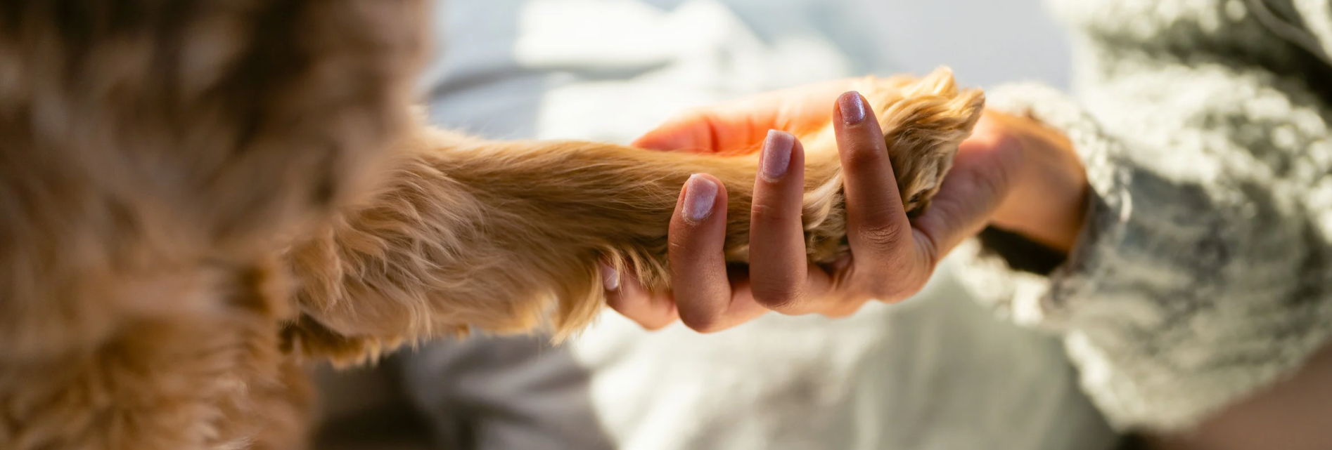 寵物飼料, 狗狗主食罐, 貓咪主食罐, 主食罐推薦, 副食罐推薦, 無穀飼料, 有機寵物糧, 冷凍乾燥糧, 高肉量配方乾糧, 寵物罐頭推薦, 天然寵物糧, 寵物營養主食, 幼犬乾糧, 成犬濕糧, 高齡犬飼料, 幼貓乾糧, 老貓濕糧, 全齡貓主食糧, 低敏配方飼料, 腸胃保健飼料, 關節保健乾糧, 美毛護膚飼料, 控制體重飼料, 尿道保健飼料, 泌尿道健康配方, 心臟保健飼料, 牙齒清潔乾糧, 無穀飼料推薦, 寵物高蛋白飼料, 天然成分狗糧, 有機飼料品牌, 無添加飼料, 添加維生素礦物質, 寵物乾糧, 寵物濕糧, 寵物罐頭, 貓罐頭, 貓乾糧推介, 貓乾糧推介2025, 貓濕糧推介, 貓濕糧推介2025, 貓零食推介, 貓零食推介2025, 狗乾糧推介, 狗乾糧推介2025, 狗濕糧推介2025, 狗濕糧推介, 狗零食推介2025, 狗零食推介, 寵物保健, 寵物保健品 貓咪保健, 貓貓保健品 狗狗保健, 狗狗保健品, 狗狗益生菌, 貓貓益生菌, 寵物營養補充, 寵物營養食品, 貓用複合賴氨酸, 寵物毛髮保健, 狗毛髮保健, 貓毛髮保健, 狗關節保健, 貓關節保健, 狗腸胃保健, 貓腸