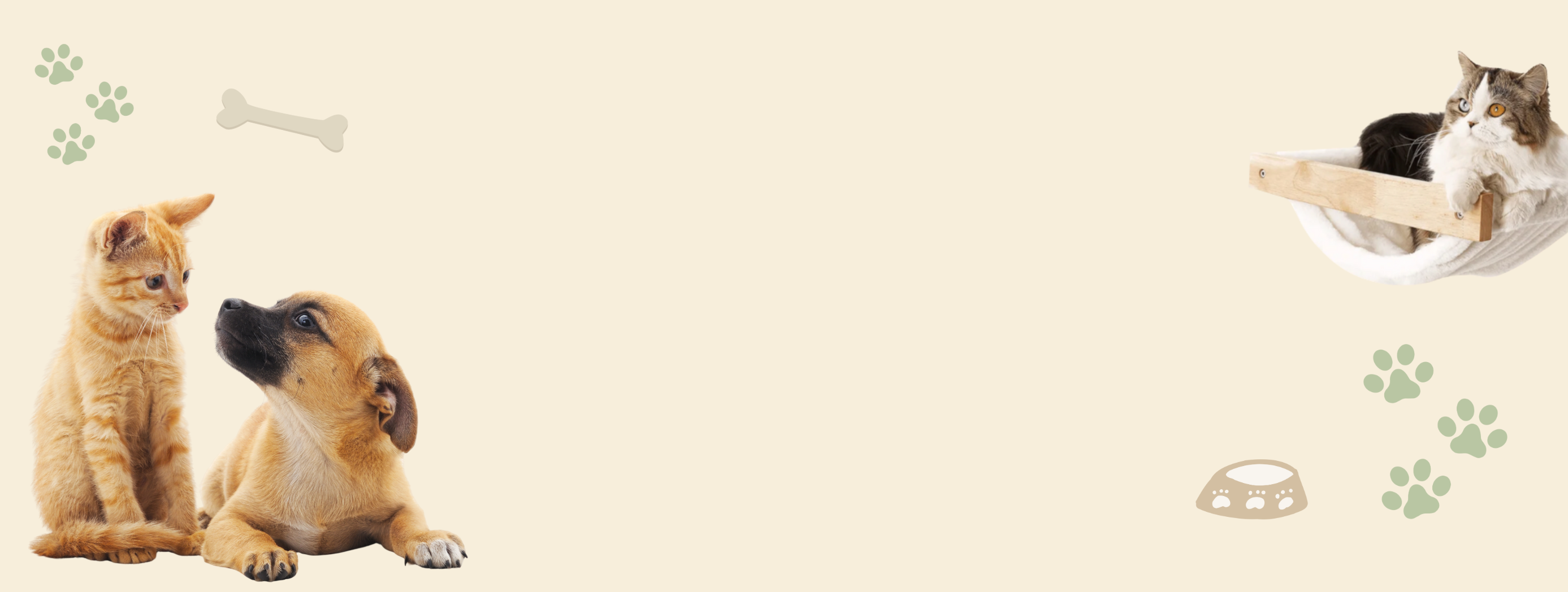 寵物飼料, 狗狗主食罐, 貓咪主食罐, 主食罐推薦, 副食罐推薦, 無穀飼料, 有機寵物糧, 冷凍乾燥糧, 高肉量配方乾糧, 寵物罐頭推薦, 天然寵物糧, 寵物營養主食, 幼犬乾糧, 成犬濕糧, 高齡犬飼料, 幼貓乾糧, 老貓濕糧, 全齡貓主食糧, 低敏配方飼料, 腸胃保健飼料, 關節保健乾糧, 美毛護膚飼料, 控制體重飼料, 尿道保健飼料, 泌尿道健康配方, 心臟保健飼料, 牙齒清潔乾糧, 無穀飼料推薦, 寵物高蛋白飼料, 天然成分狗糧, 有機飼料品牌, 無添加飼料, 添加維生素礦物質, 寵物乾糧, 寵物濕糧, 寵物罐頭, 貓罐頭, 貓乾糧推介, 貓乾糧推介2025, 貓濕糧推介, 貓濕糧推介2025, 貓零食推介, 貓零食推介2025, 狗乾糧推介, 狗乾糧推介2025, 狗濕糧推介2025, 狗濕糧推介, 狗零食推介2025, 狗零食推介, 寵物保健, 寵物保健品 貓咪保健, 貓貓保健品 狗狗保健, 狗狗保健品, 狗狗益生菌, 貓貓益生菌, 寵物營養補充, 寵物營養食品, 貓用複合賴氨酸, 寵物毛髮保健, 狗毛髮保健, 貓毛髮保健, 狗關節保健, 貓關節保健, 狗腸胃保健, 貓腸