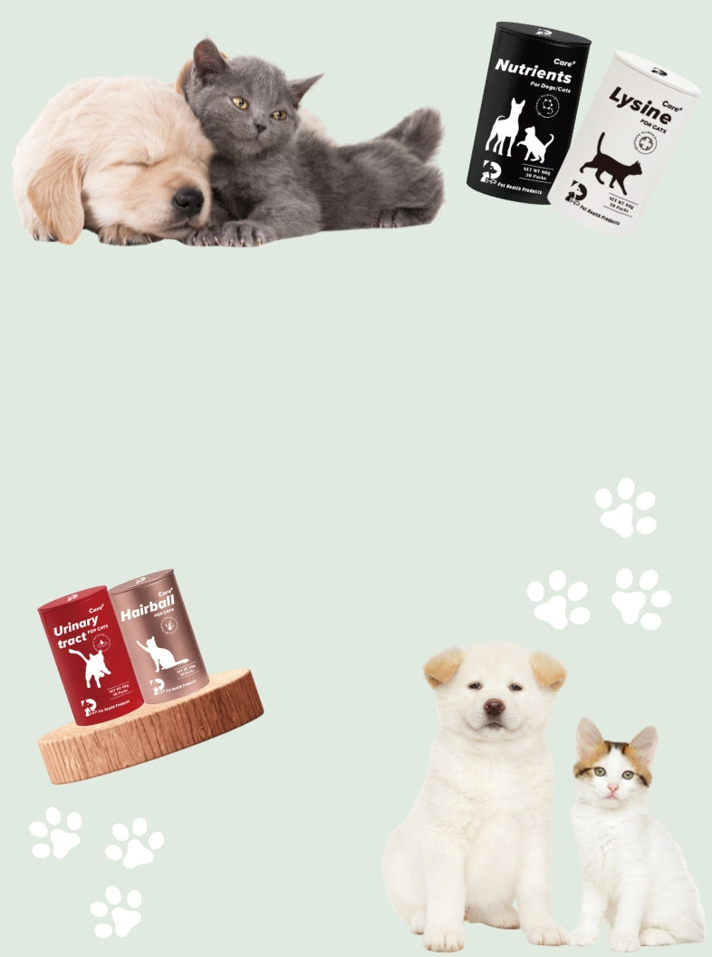 寵物飼料, 狗狗主食罐, 貓咪主食罐, 主食罐推薦, 副食罐推薦, 無穀飼料, 有機寵物糧, 冷凍乾燥糧, 高肉量配方乾糧, 寵物罐頭推薦, 天然寵物糧, 寵物營養主食, 幼犬乾糧, 成犬濕糧, 高齡犬飼料, 幼貓乾糧, 老貓濕糧, 全齡貓主食糧, 低敏配方飼料, 腸胃保健飼料, 關節保健乾糧, 美毛護膚飼料, 控制體重飼料, 尿道保健飼料, 泌尿道健康配方, 心臟保健飼料, 牙齒清潔乾糧, 無穀飼料推薦, 寵物高蛋白飼料, 天然成分狗糧, 有機飼料品牌, 無添加飼料, 添加維生素礦物質, 寵物乾糧, 寵物濕糧, 寵物罐頭, 貓罐頭, 貓乾糧推介, 貓乾糧推介2025, 貓濕糧推介, 貓濕糧推介2025, 貓零食推介, 貓零食推介2025, 狗乾糧推介, 狗乾糧推介2025, 狗濕糧推介2025, 狗濕糧推介, 狗零食推介2025, 狗零食推介, 寵物保健, 寵物保健品 貓咪保健, 貓貓保健品 狗狗保健, 狗狗保健品, 狗狗益生菌, 貓貓益生菌, 寵物營養補充, 寵物營養食品, 貓用複合賴氨酸, 寵物毛髮保健, 狗毛髮保健, 貓毛髮保健, 狗關節保健, 貓關節保健, 狗腸胃保健, 貓腸